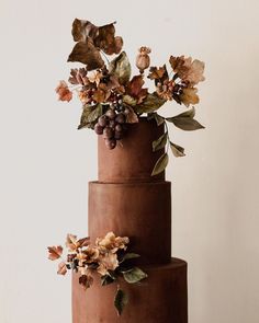 a three tiered chocolate cake with flowers and leaves on the top, against a white background