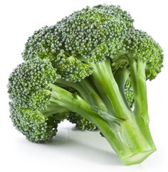 broccoli florets on a white background with clippings to the side