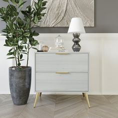 a potted plant sitting on top of a wooden table next to a white dresser