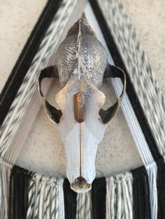 a cow skull mounted to the side of a wall with black and white stripes on it