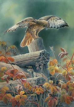 a painting of an owl landing on a fence post