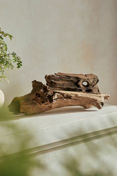 a piece of driftwood next to a potted plant