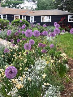 purple and white flowers in front of a black house with red roofing shingles