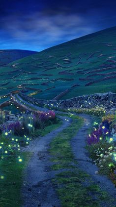 a path that is lit up with fireflies in the grass and surrounded by flowers