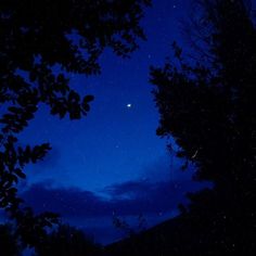 the night sky is lit up with stars and moon in the distance as seen through some trees