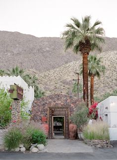 a palm tree in front of a stone wall and entrance to a house with mountains in the background