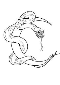 a drawing of a snake with its mouth open