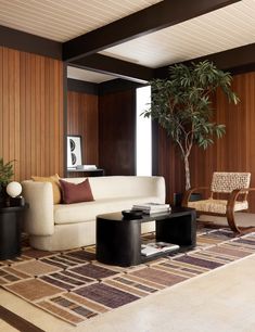 a living room filled with furniture and a potted plant