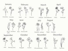 an image of birth flowers and months