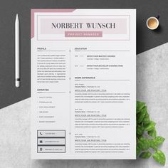 a professional resume template with pink accents