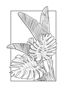 a black and white drawing of tropical plants in a square frame on a white background