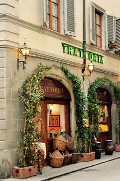 a store front with potted plants on the outside