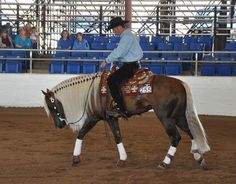 a man riding on the back of a brown and white horse in a dirt arena