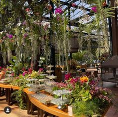 many potted plants and flowers are on tables in a greenhouse with glass roofing