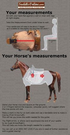 "This  has to be one of the best diagrams and instructions I have ever seen to get the right fit!These are great diagrams and explanations!" Horse Lessons, Horse Exercises, Horse Care Tips, Saddle Fitting, Horse Info