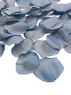 several pieces of silver colored petals on a white background