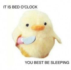 a stuffed animal with the caption it is bed o'clock you best be sleeping