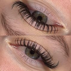 Wet Look Cat Eye Lashes, Angel Lashes Extensions, Angel Set Lashes, Angel Set Lash Extensions, Angel Eyelash Extensions, Angel Lash Extensions, Wet Lashes Look Extensions, Wet Look Lash Extensions, Wet Lash Extensions