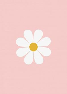 a pink background with a white flower on the center and one yellow spot in the middle