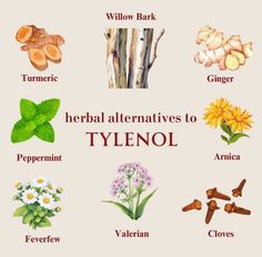 Medicinal Herbs Remedies, Coconut Health, Fruit Health, Fruit Health Benefits