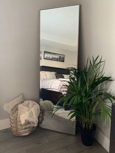 a mirror sitting on top of a wooden floor next to a potted plant in front of a bed