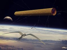 an artist's rendering of two birds flying over the earth