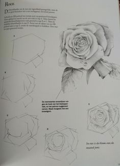 an open book with drawings of flowers and leaves on it's pages, including one rose