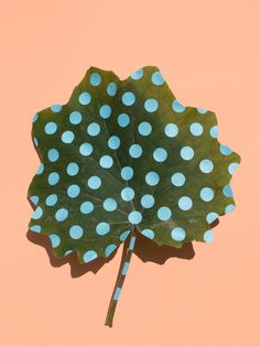 a green leaf with blue polka dots on it