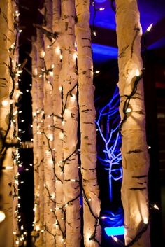 white birch trees are decorated with fairy lights