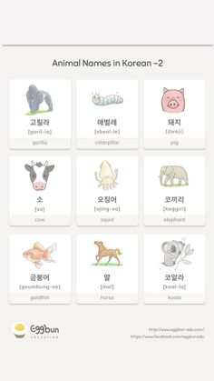 an animal names in korean are shown on the screen, with different animals and numbers