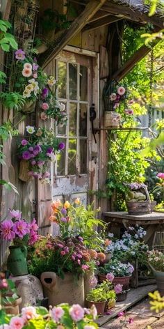 an old shed is filled with flowers and plants