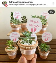 there is a small potted plant with baby's feet on it and place cards