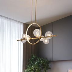 a chandelier hanging from the ceiling in a room with a potted plant