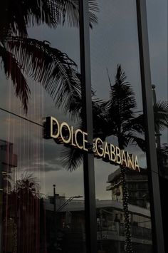 the reflection of a palm tree in a store window with dolce and garbana sign