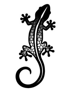 an image of a lizard that is on the back of a white background with black accents