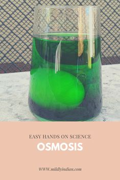 a green substance in a glass with the words easy hands on science osmosis