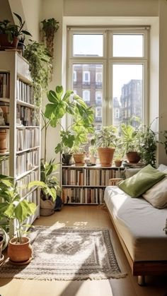 a living room filled with lots of plants and bookshelves next to a window