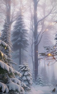 a snowy forest filled with lots of trees covered in lights and string lights at night