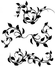 a set of floral design elements with leaves and flowers, vintage line drawing or engraving