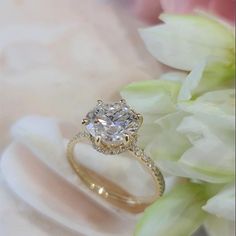 a close up of a diamond ring with flowers in the background