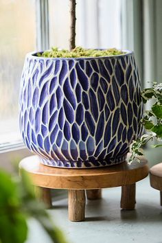 a potted plant sitting on top of a wooden stand in front of a window