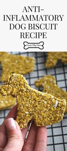 a hand holding a dog biscuit in front of a cooling rack