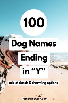 a dalmatian dog with its mouth open and the words, 100 dog names ending in