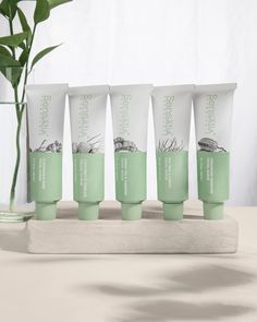 five tubes of toothpaste sitting on a counter next to a potted plant