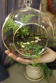 a person holding a glass terrarium filled with plants