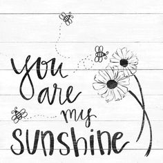 the words you are my sunshine written in black ink on lined paper with flowers and bees