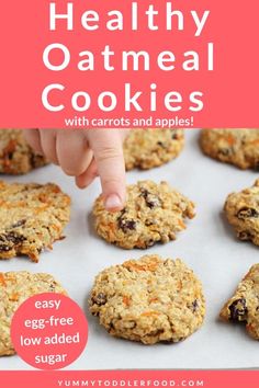 the healthy oatmeal cookies with carrots and apples are ready to be eaten