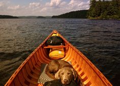 a dog is sitting in the bow of a boat on the water with another dog