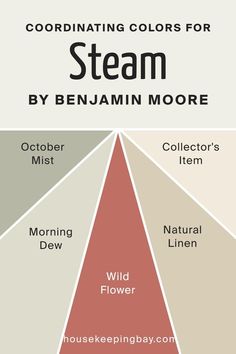 Steam AF-15 Coordinating Colors by Benjamin Moore Bm October Mist, Khaki Paint Colors, October Mist, Farmhouse Color Scheme, Benjamin Moore Exterior, Guest Room Furniture, Pine Hill, Lake House Kitchen