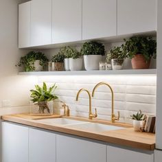 a kitchen with white cabinets and plants on the shelf above the sink in front of it